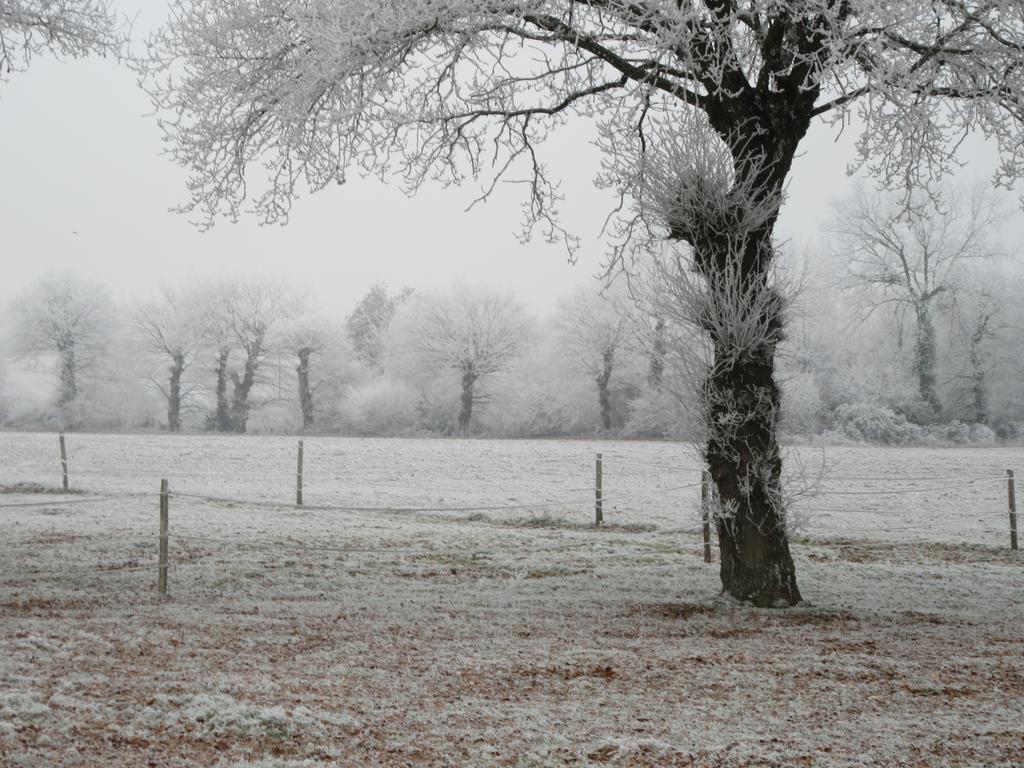 Les Gites D'Emilie Melesse ภายนอก รูปภาพ
